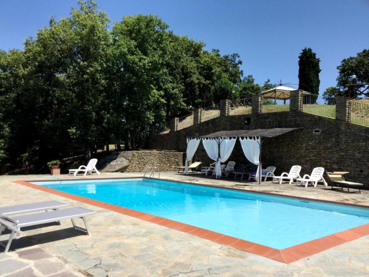 Agriturismo Badia Ficarolo Palazzo del Pero Exterior photo