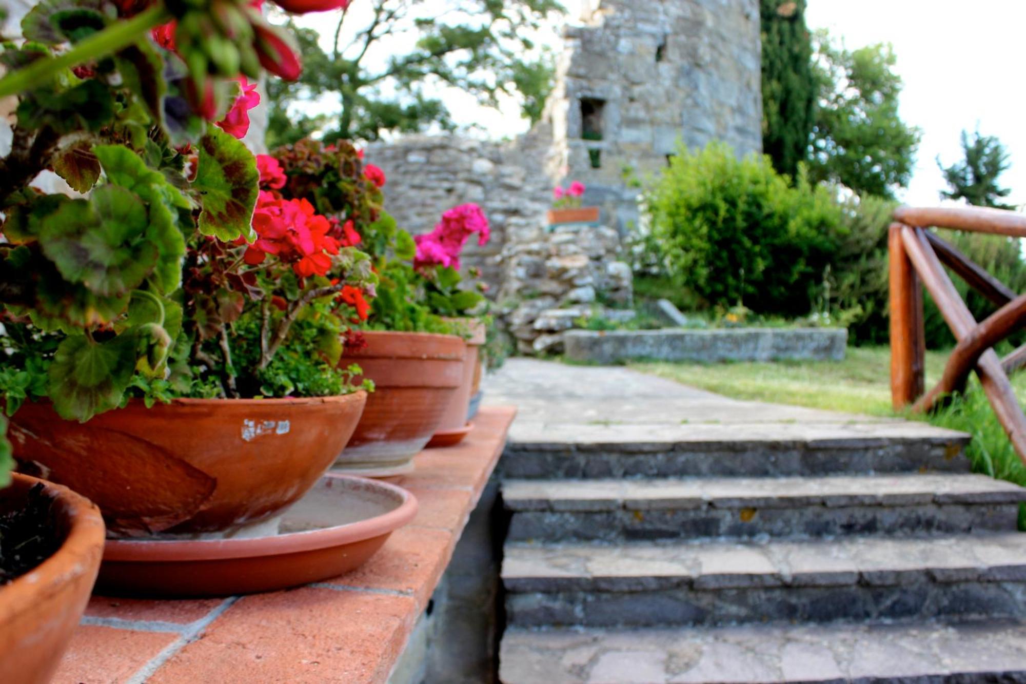 Agriturismo Badia Ficarolo Palazzo del Pero Exterior photo